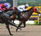 Philanthropist holds off the late finish of Gold Mine to win on Sunday.<br>Photo by Singapore Turf Club